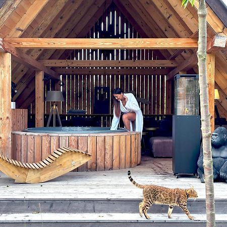 Gorska Osada Lovely Chalets Zakopane Poronin Exterior foto